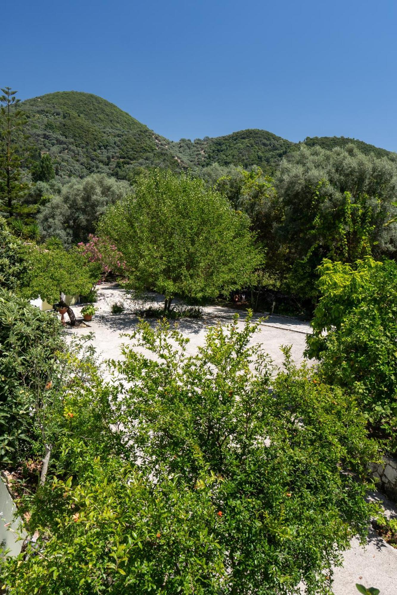 Vliho Bay & * Yénion